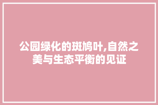 公园绿化的斑鸠叶,自然之美与生态平衡的见证