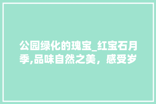 公园绿化的瑰宝_红宝石月季,品味自然之美，感受岁月静好