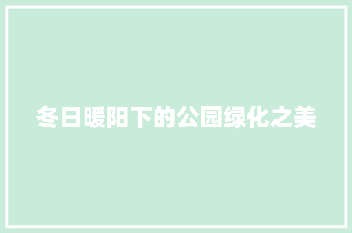 冬日暖阳下的公园绿化之美