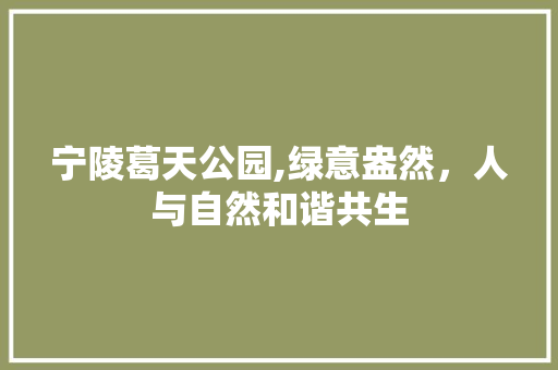 宁陵葛天公园,绿意盎然，人与自然和谐共生