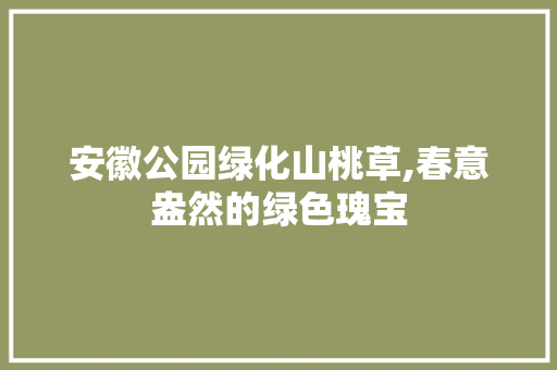安徽公园绿化山桃草,春意盎然的绿色瑰宝