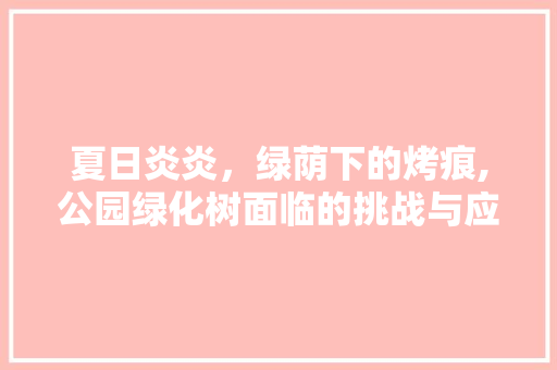夏日炎炎，绿荫下的烤痕,公园绿化树面临的挑战与应对