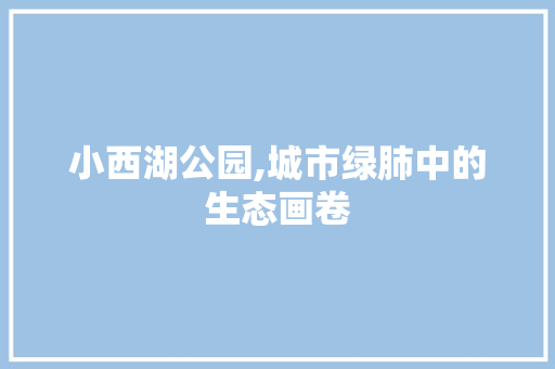 小西湖公园,城市绿肺中的生态画卷