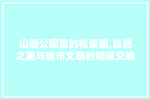 山西公园里的松果菊,自然之美与城市文明的和谐交响