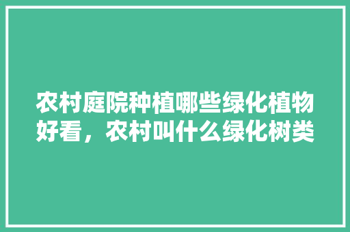 农村庭院种植哪些绿化植物好看，农村叫什么绿化树类名字。