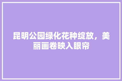昆明公园绿化花种绽放，美丽画卷映入眼帘