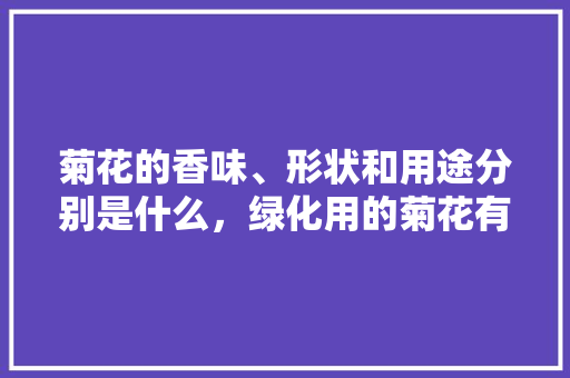 菊花的香味、形状和用途分别是什么，绿化用的菊花有哪些。