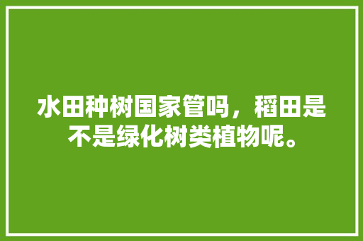 水田种树国家管吗，稻田是不是绿化树类植物呢。