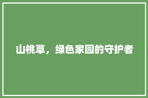 山桃草，绿色家园的守护者