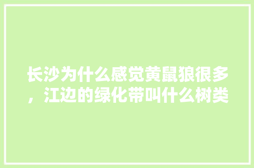 长沙为什么感觉黄鼠狼很多，江边的绿化带叫什么树类名字。