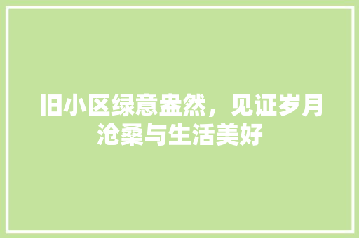 旧小区绿意盎然，见证岁月沧桑与生活美好