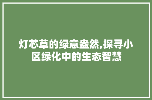 灯芯草的绿意盎然,探寻小区绿化中的生态智慧