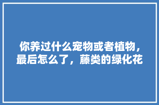 你养过什么宠物或者植物，最后怎么了，藤类的绿化花树叫什么树呢。