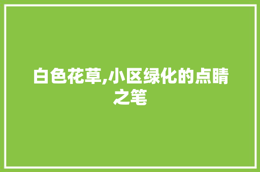 白色花草,小区绿化的点睛之笔