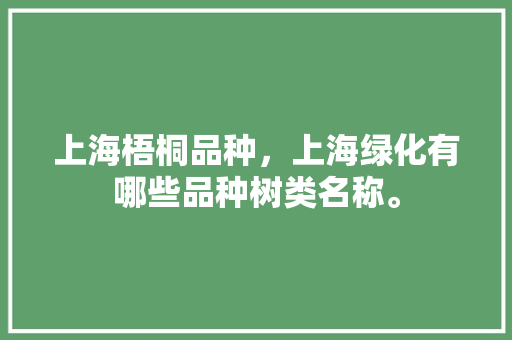 上海梧桐品种，上海绿化有哪些品种树类名称。