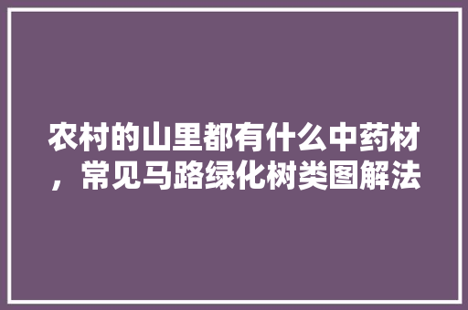 农村的山里都有什么中药材，常见马路绿化树类图解法大全。