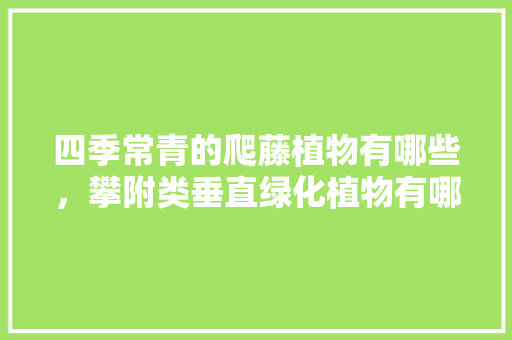 四季常青的爬藤植物有哪些，攀附类垂直绿化植物有哪些。