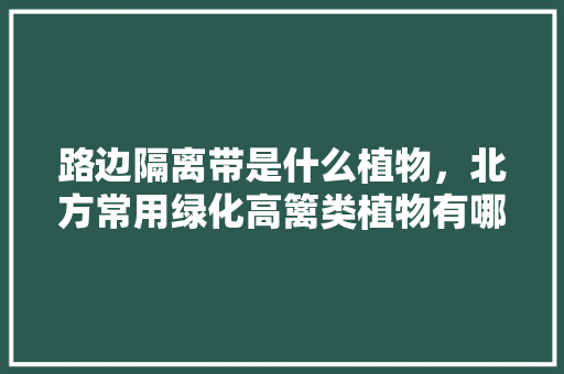路边隔离带是什么植物，北方常用绿化高篱类植物有哪些。  第1张 路边隔离带是什么植物，北方常用绿化高篱类植物有哪些。 绿化类