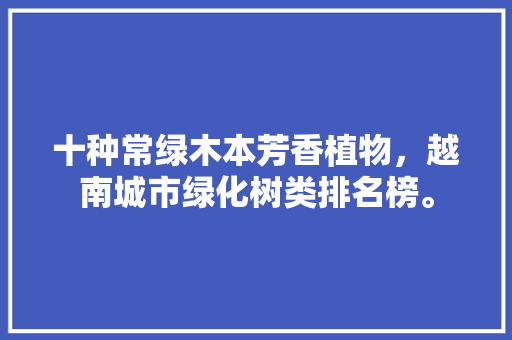 十种常绿木本芳香植物，越南城市绿化树类排名榜。