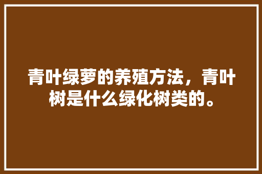 青叶绿萝的养殖方法，青叶树是什么绿化树类的。