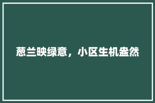 葱兰映绿意，小区生机盎然