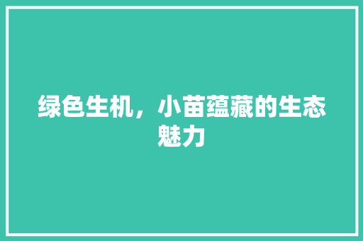 绿色生机，小苗蕴藏的生态魅力