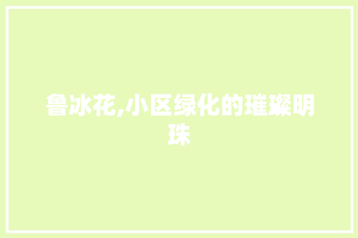 鲁冰花,小区绿化的璀璨明珠