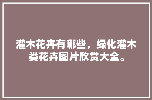 灌木花卉有哪些，绿化灌木类花卉图片欣赏大全。