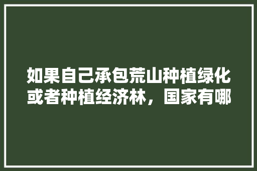 如果自己承包荒山种植绿化或者种植经济林，国家有哪些补贴吗，经济林资格证是绿化类吗还是林类。