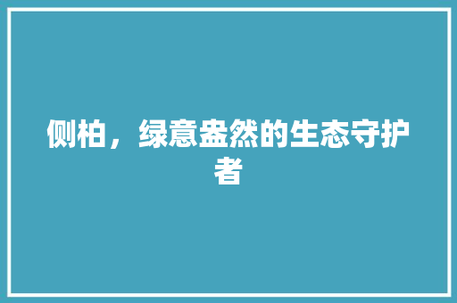 侧柏，绿意盎然的生态守护者