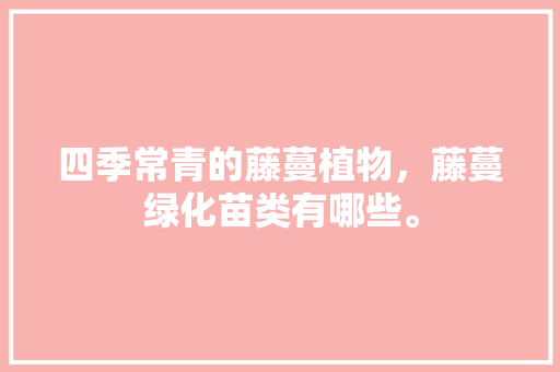 四季常青的藤蔓植物，藤蔓绿化苗类有哪些。