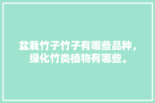 盆栽竹子竹子有哪些品种，绿化竹类植物有哪些。