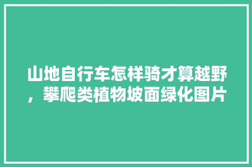 山地自行车怎样骑才算越野，攀爬类植物坡面绿化图片。