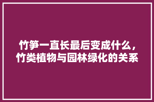 竹笋一直长最后变成什么，竹类植物与园林绿化的关系。