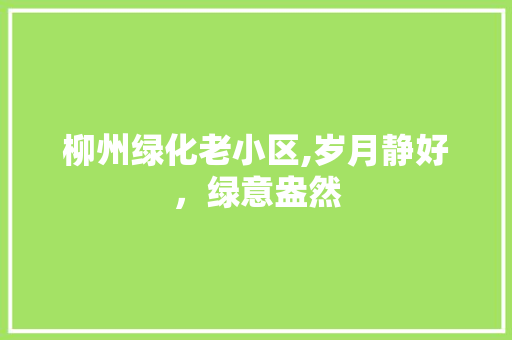 柳州绿化老小区,岁月静好，绿意盎然
