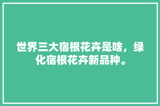 世界三大宿根花卉是啥，绿化宿根花卉新品种。