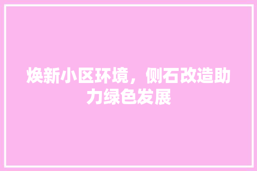 焕新小区环境，侧石改造助力绿色发展