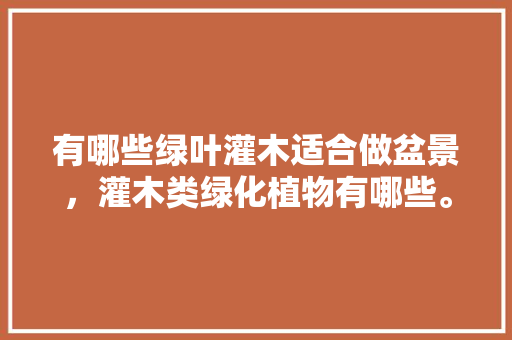 有哪些绿叶灌木适合做盆景，灌木类绿化植物有哪些。