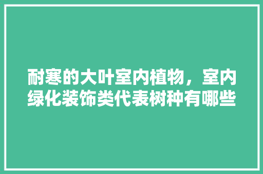 耐寒的大叶室内植物，室内绿化装饰类代表树种有哪些。