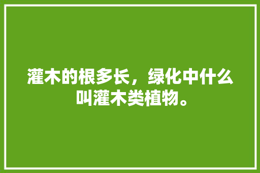 灌木的根多长，绿化中什么叫灌木类植物。  第1张 灌木的根多长，绿化中什么叫灌木类植物。 花卉百科