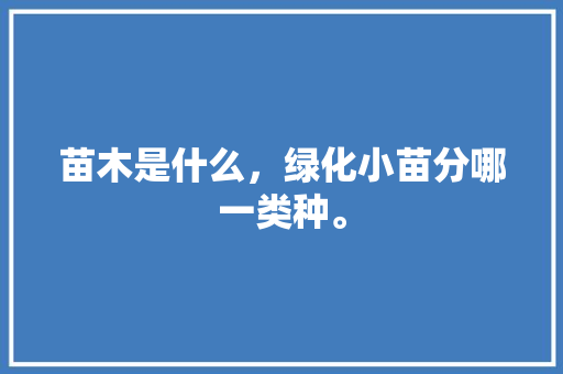 苗木是什么，绿化小苗分哪一类种。