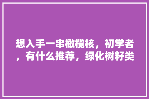 想入手一串橄榄核，初学者，有什么推荐，绿化树籽类文玩图片大全大图。