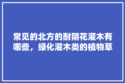 常见的北方的耐阴花灌木有哪些，绿化灌木类的植物草有哪些。