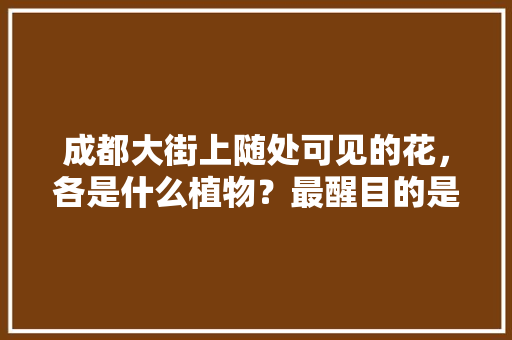 成都大街上随处可见的花，各是什么植物？最醒目的是红紫色的花是什么花，绿化树木分几种树类类型图片。