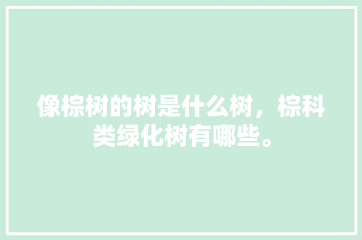像棕树的树是什么树，棕科类绿化树有哪些。