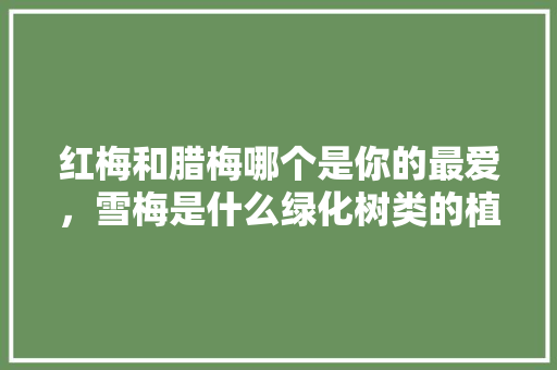 红梅和腊梅哪个是你的最爱，雪梅是什么绿化树类的植物。