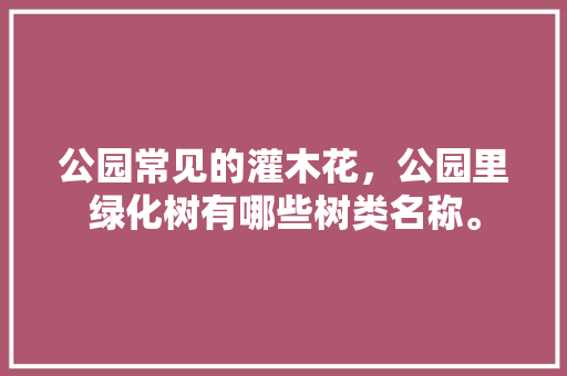 公园常见的灌木花，公园里绿化树有哪些树类名称。