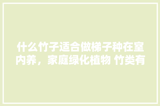 什么竹子适合做梯子种在室内养，家庭绿化植物 竹类有哪些。