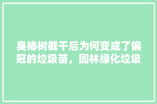 臭椿树截干后为何变成了偏冠的垃圾苗，园林绿化垃圾是啥垃圾类别。
