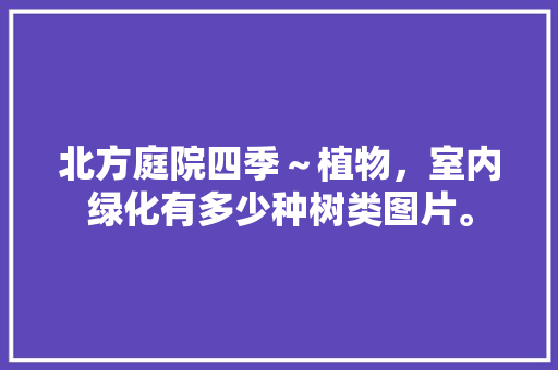 北方庭院四季～植物，室内绿化有多少种树类图片。